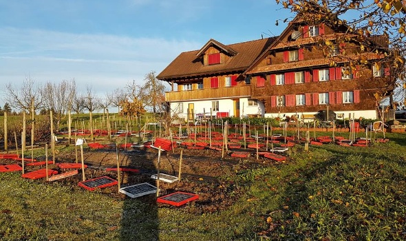 23795025 1936711573022677 5167399879085362507 n