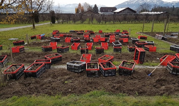 23795146 1936711879689313 7373857371402915871 n