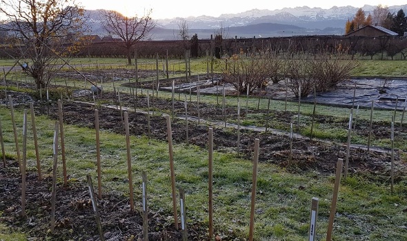 23795530 1936711169689384 2071469002487475556 n