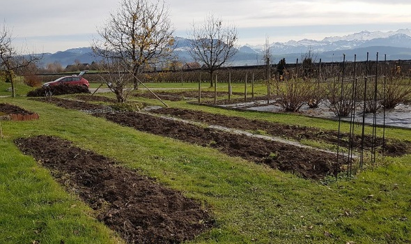 23843505 1936713633022471 5884381671487811352 n 23843505 1936713633022471 5884381671487811352 n