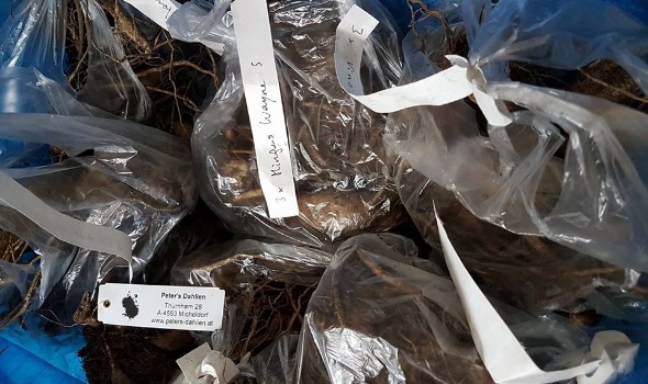 24232627 1943989002294934 5311743478433509106 n 24232627 1943989002294934 5311743478433509106 n