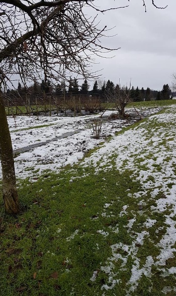 25348538 1965191070174727 7444099245010875730 n 25348538 1965191070174727 7444099245010875730 n