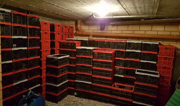 25353637 1964933216867179 6314187278245939438 n 25353637 1964933216867179 6314187278245939438 n