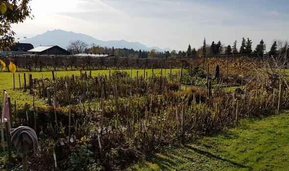 23167737 1912517622108739 4237364687214759197 n