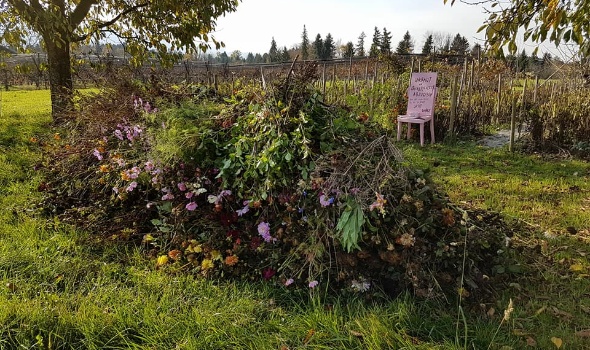 23168047 1912517655442069 1969047028132922331 n 23168047 1912517655442069 1969047028132922331 n