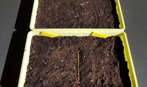 30226808 2102255703134929 500480308176380290 n 30226808 2102255703134929 500480308176380290 n