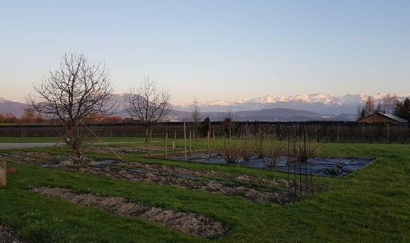 30412282 2101288399898326 1809900131050781160 n 30412282 2101288399898326 1809900131050781160 n