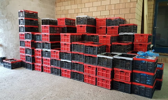 30515882 2104852716208561 5374901638087907077 n 30515882 2104852716208561 5374901638087907077 n