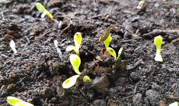 30728976 2113132832047216 4427459768071052421 n 30728976 2113132832047216 4427459768071052421 n