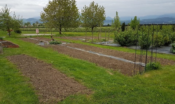 31344688 2124965127530653 5433673040957559699 n 31344688 2124965127530653 5433673040957559699 n