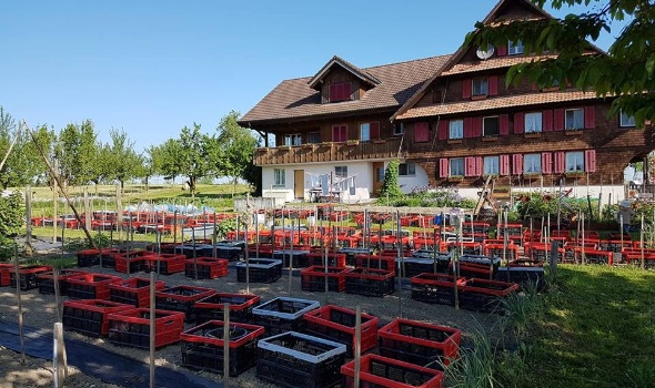 31960528 2139189796108186 4759146032544088064 n 31960528 2139189796108186 4759146032544088064 n