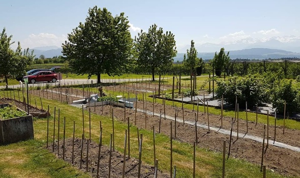 32158773 2139299616097204 1008142430551146496 n 32158773 2139299616097204 1008142430551146496 n