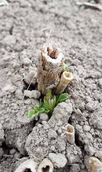 32418615 2145132532180579 4134937171033325568 n 32418615 2145132532180579 4134937171033325568 n