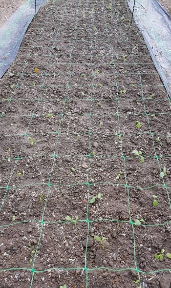 32467316 2146601832033649 4043046530418999296 n 32467316 2146601832033649 4043046530418999296 n