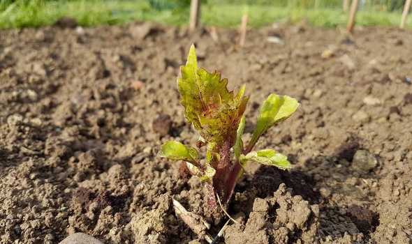 32682523 2149920331701799 8180735448344166400 n 32682523 2149920331701799 8180735448344166400 n