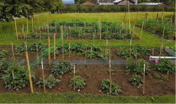 35053478 2182324941794671 8349521096071970816 n 35053478 2182324941794671 8349521096071970816 n