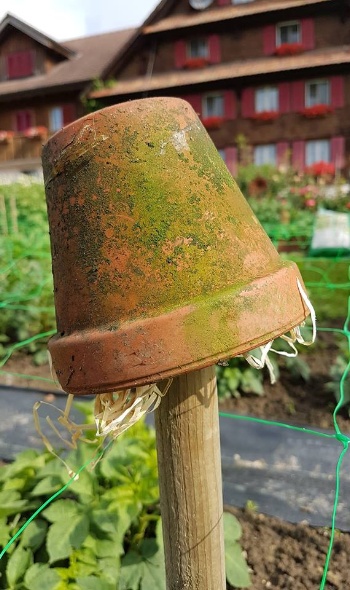 35282712 2186036761423489 2824784322538504192 n 35282712 2186036761423489 2824784322538504192 n