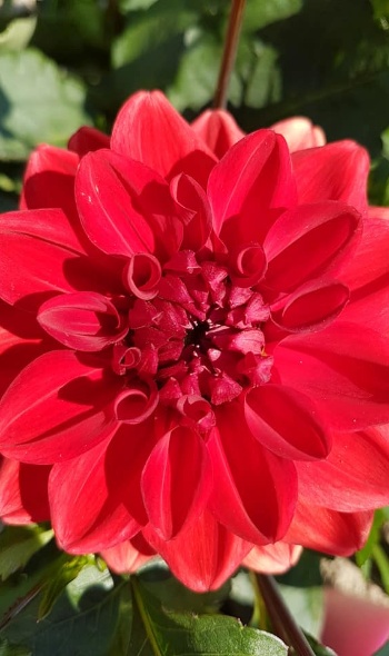 35882171 2197673440259821 3280871220437843968 n 35882171 2197673440259821 3280871220437843968 n