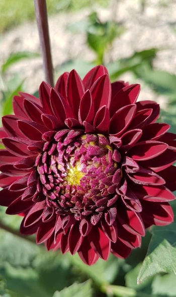 35882189 2197673316926500 3186166199423598592 n