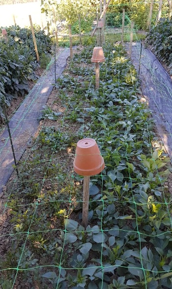 36267564 2209820025711829 3264133286208733184 n 36267564 2209820025711829 3264133286208733184 n