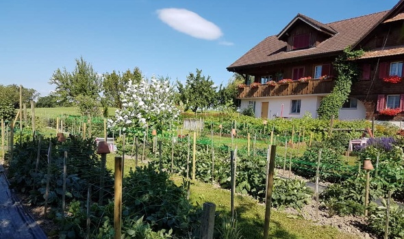 36318557 2209819809045184 2949664508169158656 n