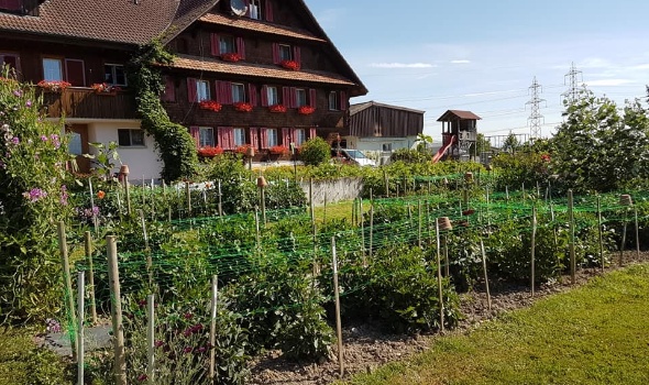 36349616 2209819955711836 55436427084693504 n