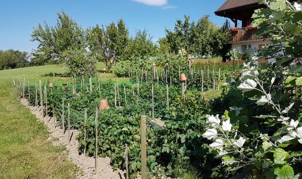 36382022 2209819899045175 6096891258481934336 n