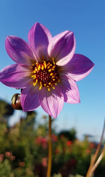 36408597 2214149248612240 2434586668250955776 n 36408597 2214149248612240 2434586668250955776 n