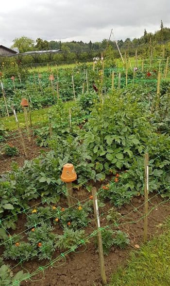 36621989 2222375324456299 3870956072860647424 n 36621989 2222375324456299 3870956072860647424 n