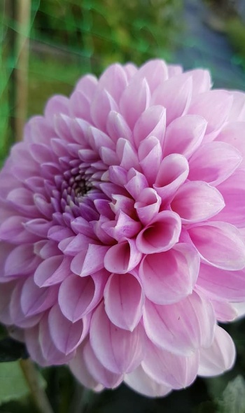 36729734 2228192160541282 8906121631835881472 n 36729734 2228192160541282 8906121631835881472 n