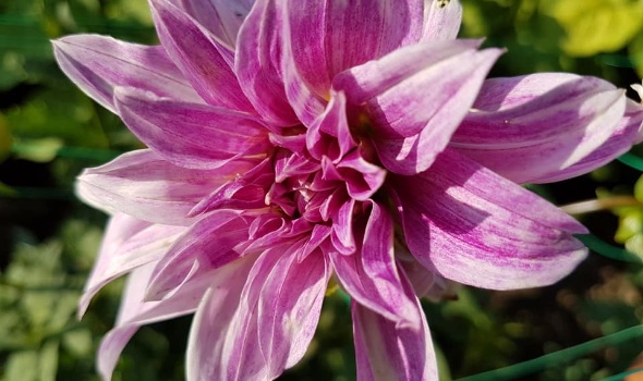 36832167 2228192013874630 1315761676351438848 n