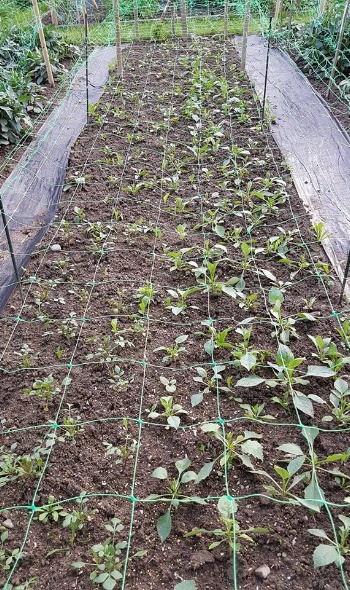 34984578 2182332605127238 8953852943426125824 n 34984578 2182332605127238 8953852943426125824 n