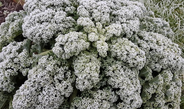 81443326 3237818476245307 8580101844196392960 n