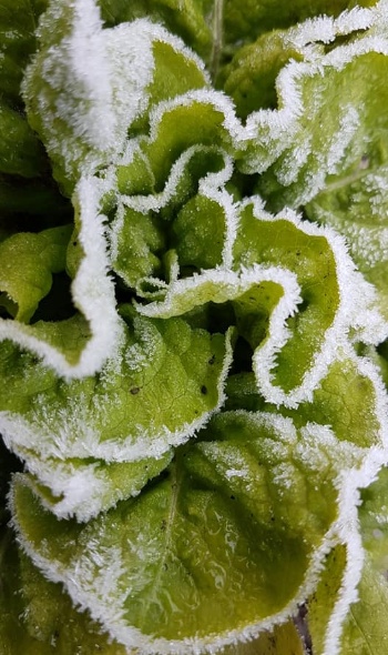 81497900 3237818382911983 5891764676986929152 n