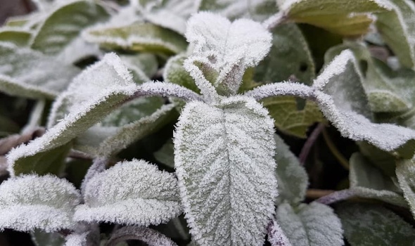 81733497 3237818529578635 4415702924089360384 n 81733497 3237818529578635 4415702924089360384 n