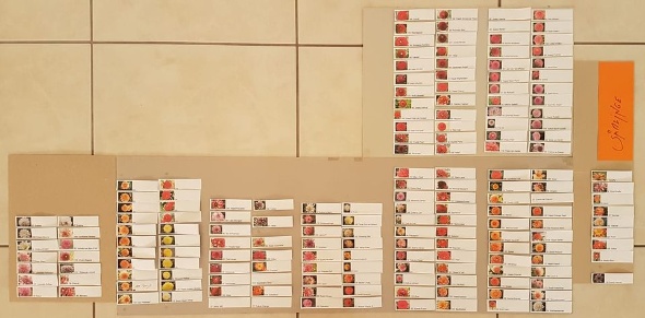 81935510 3254929161200905 3829401448228061184 o 81935510 3254929161200905 3829401448228061184 o