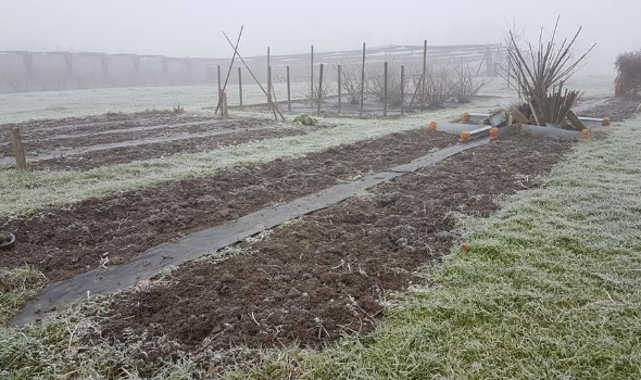 82184727 3237818239578664 8878945144666062848 n