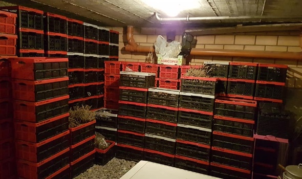 82537608 3237818306245324 5075632895456968704 n