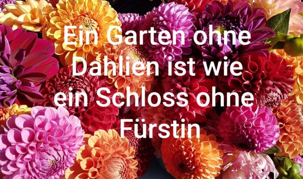 85086754 3315739418453212 7024265458937233408 o 85086754 3315739418453212 7024265458937233408 o