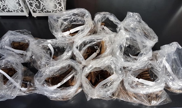 89386045 3391363474224139 1019014689289404416 n