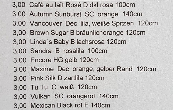 89512958 3391363537557466 2321091826741673984 n 89512958 3391363537557466 2321091826741673984 n