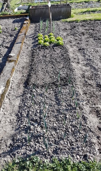 90555423 3421051917921961 6336437574743097344 n