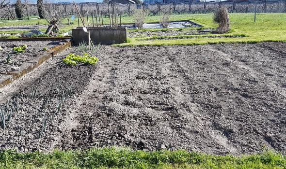 90965522 3421052004588619 7353439071126945792 n 90965522 3421052004588619 7353439071126945792 n