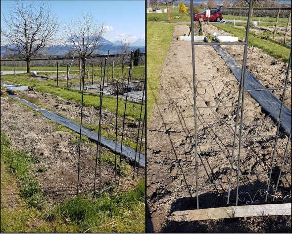 92056362 3438489386178214 5235184960498827264 o 92056362 3438489386178214 5235184960498827264 o