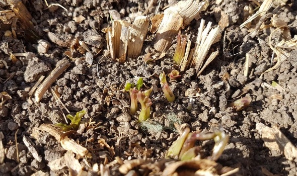 93520274 3484175274942958 8533048347164934144 o 93520274 3484175274942958 8533048347164934144 o