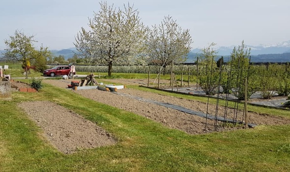 93767265 3477145295645956 2228889659264466944 n 93767265 3477145295645956 2228889659264466944 n