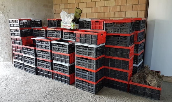 93775967 3469014939792325 4222718425593544704 n 93775967 3469014939792325 4222718425593544704 n