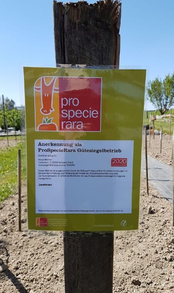 93796423 3492327624127723 2994541672257290240 o 93796423 3492327624127723 2994541672257290240 o