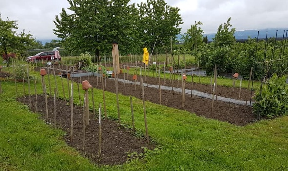 96737054 3551613134865838 6411795249852579840 n