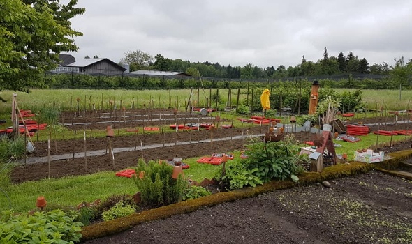 96798284 3551613014865850 8733147819763826688 n